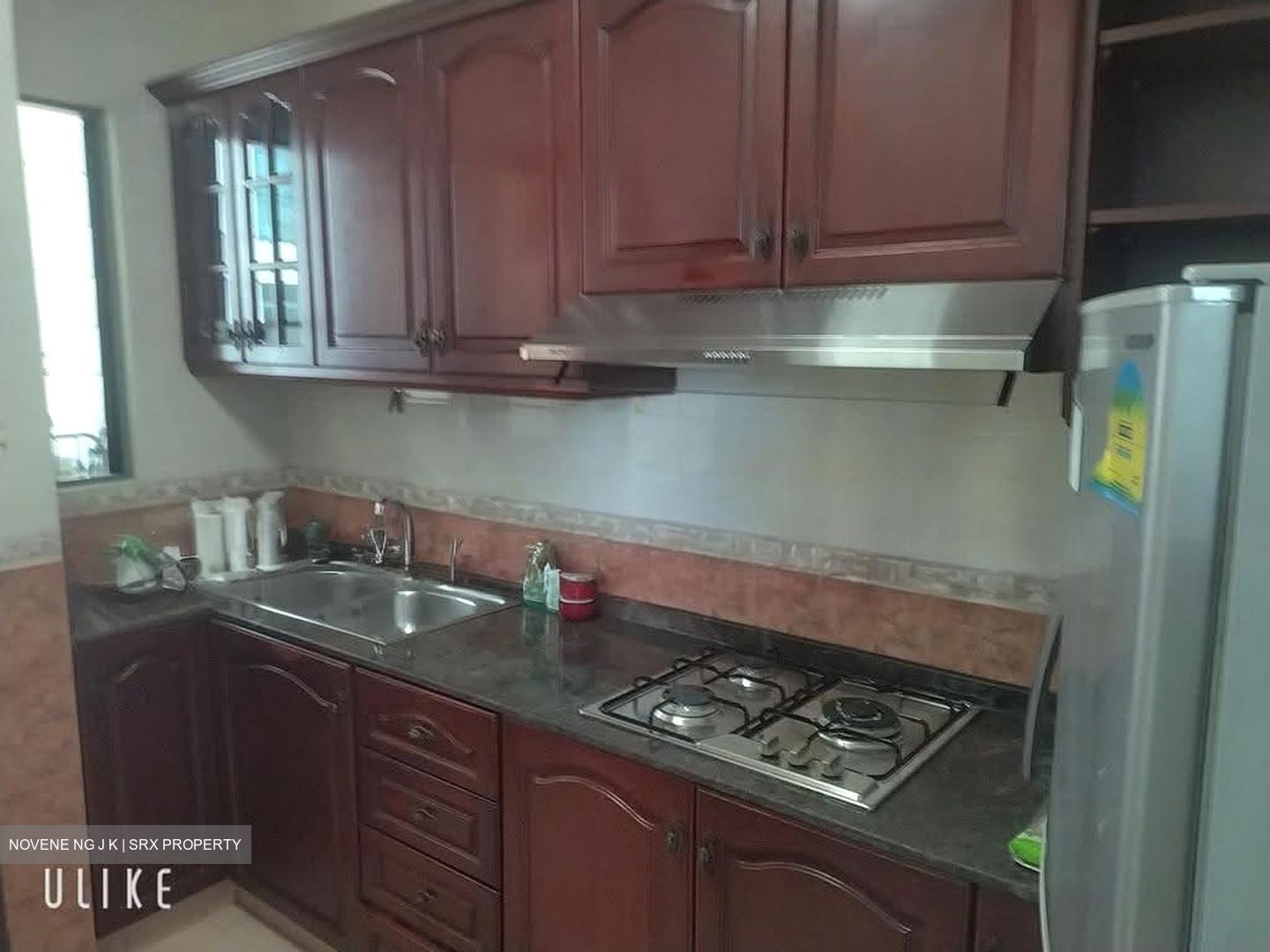 Tanglin Regency (D10), Condominium #606960111